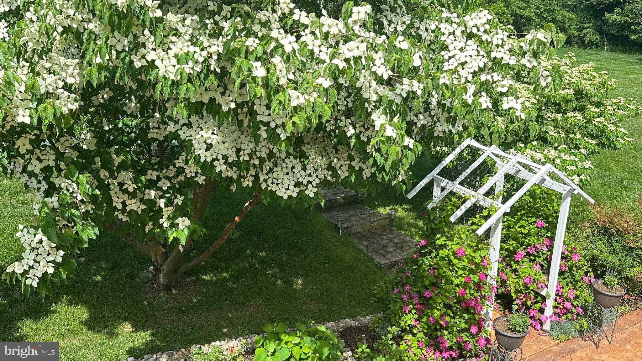 608 Nalls Farm Way photo 97