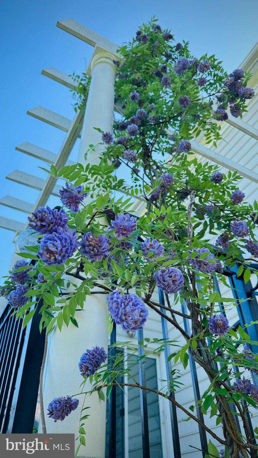 608 Nalls Farm Way photo 98