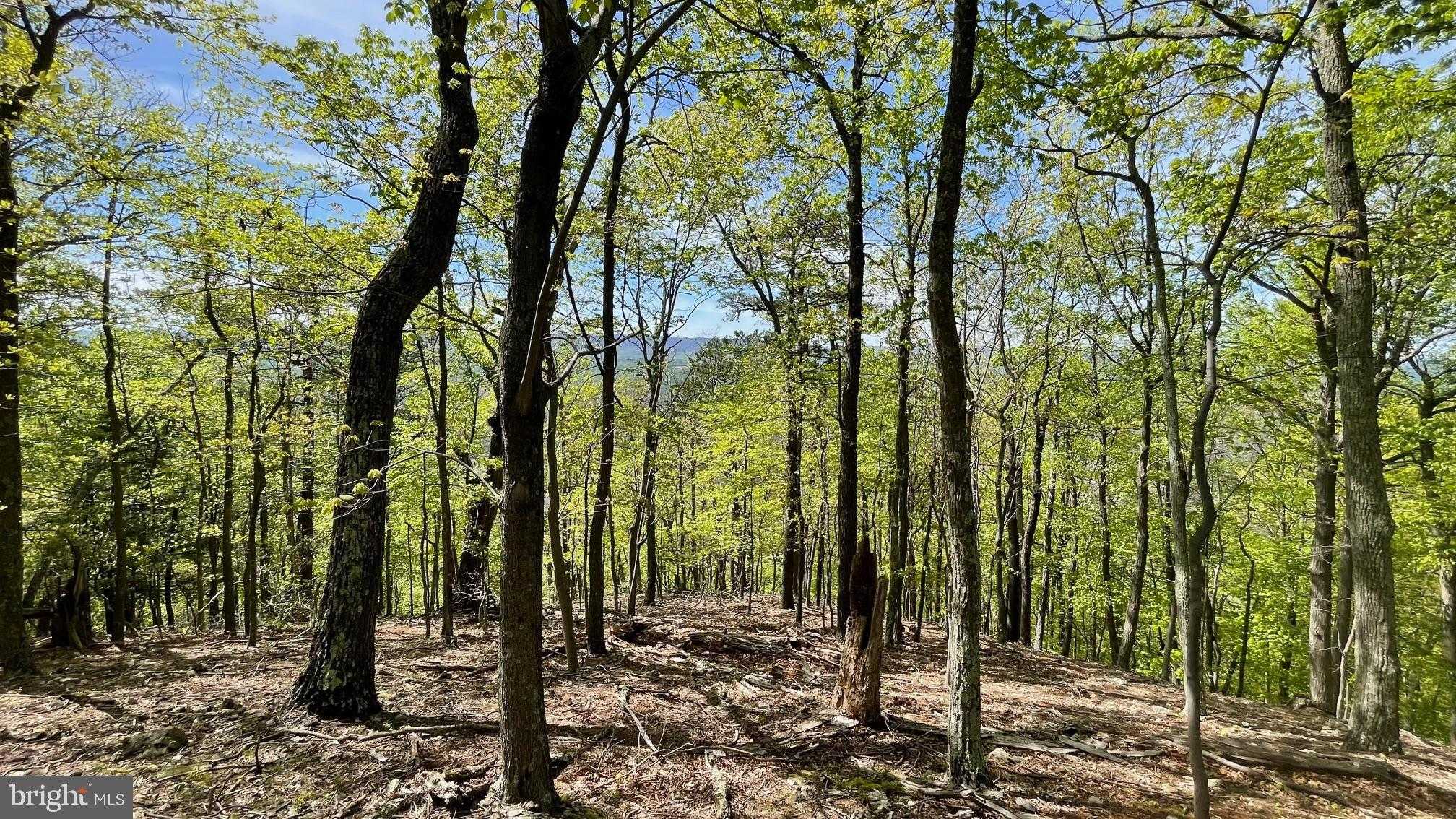 68 Russeldale Rd photo 25