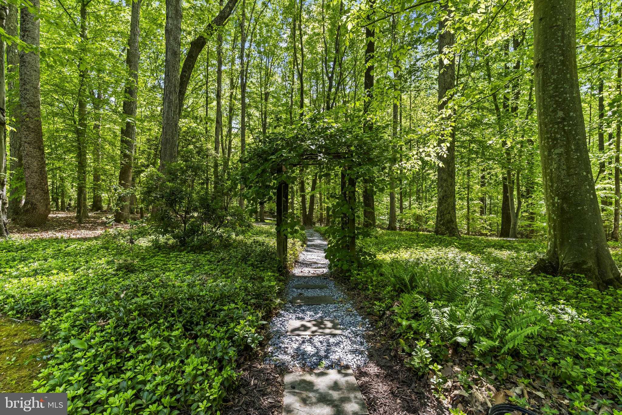 4111 Buck Board Ln photo 59