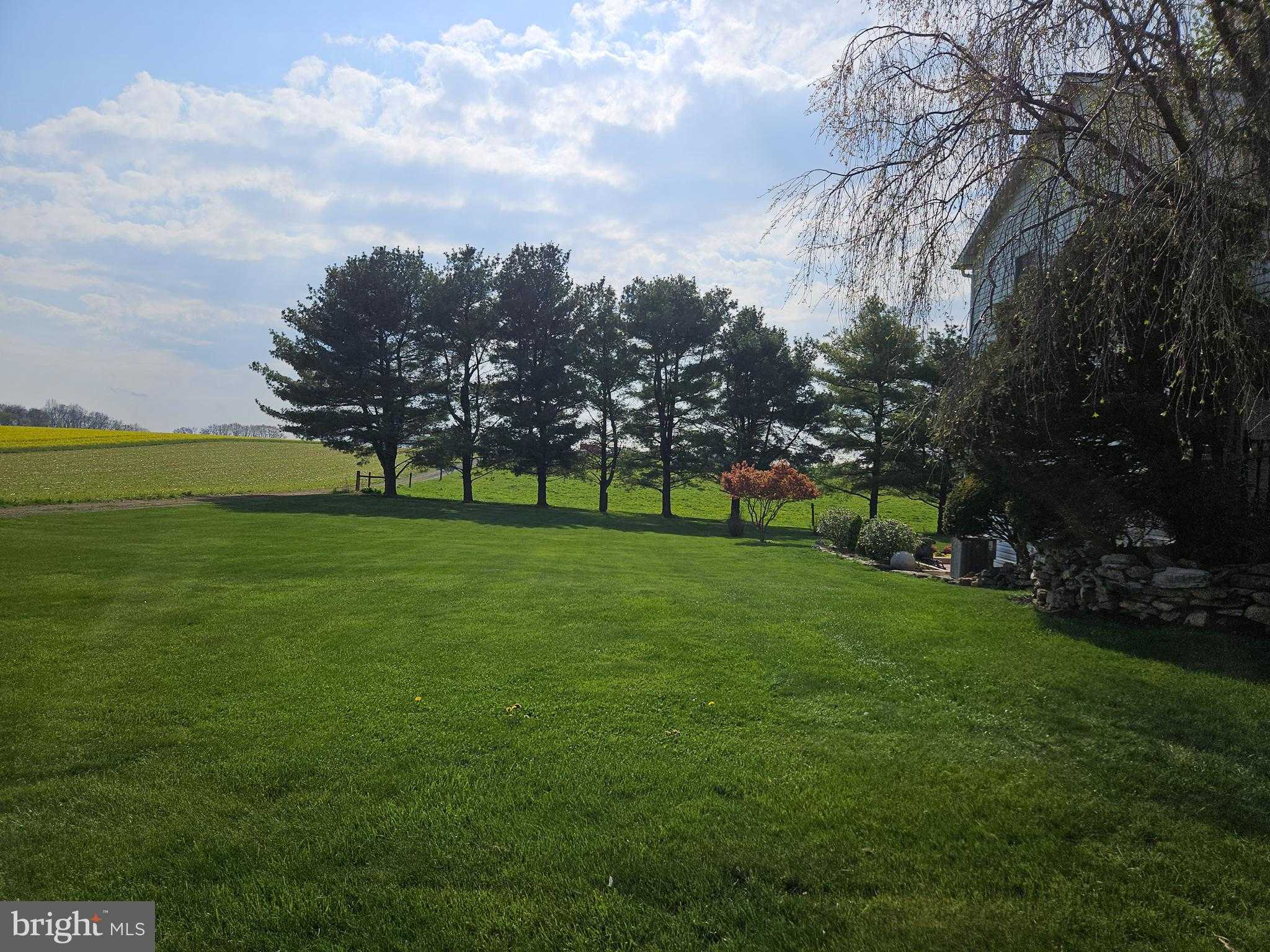 300 Quarry Rd photo 45