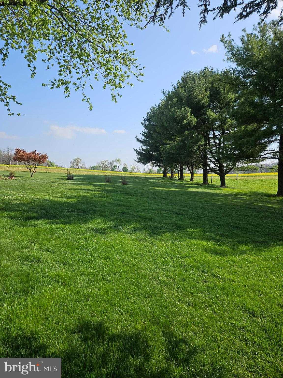 300 Quarry Rd photo 46