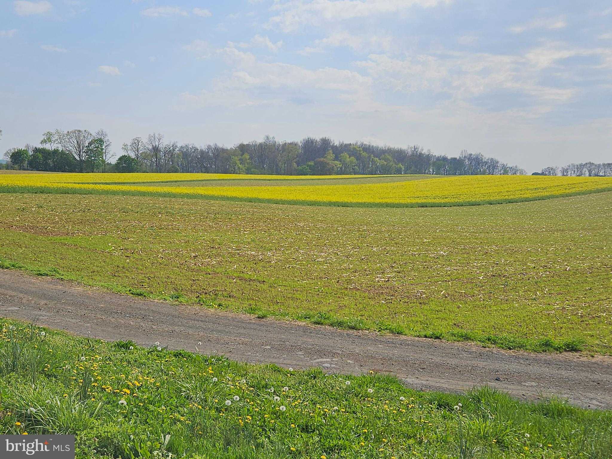 300 Quarry Rd photo 50