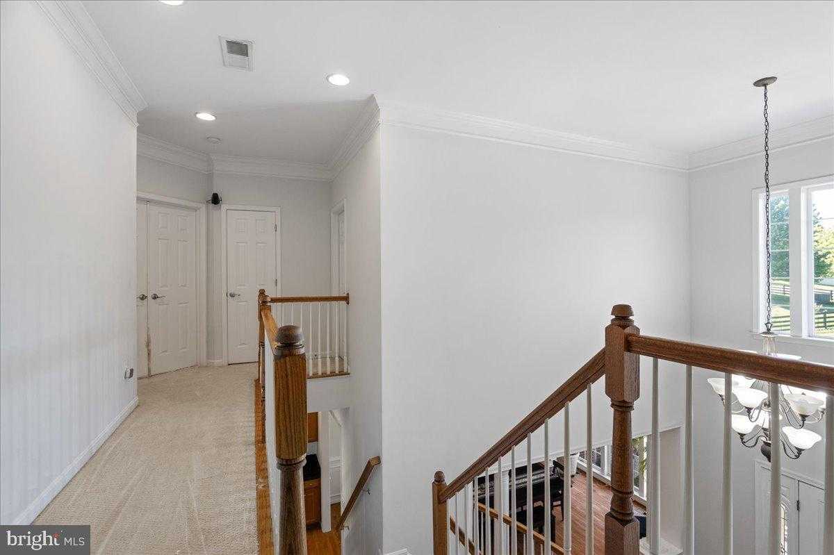 5570 Cattail CT photo 18