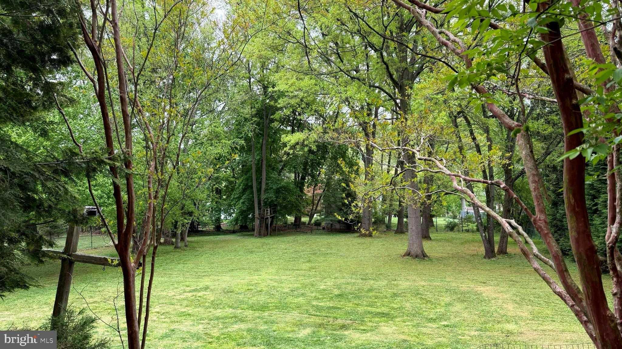 1 Pear Tree Ln photo 15