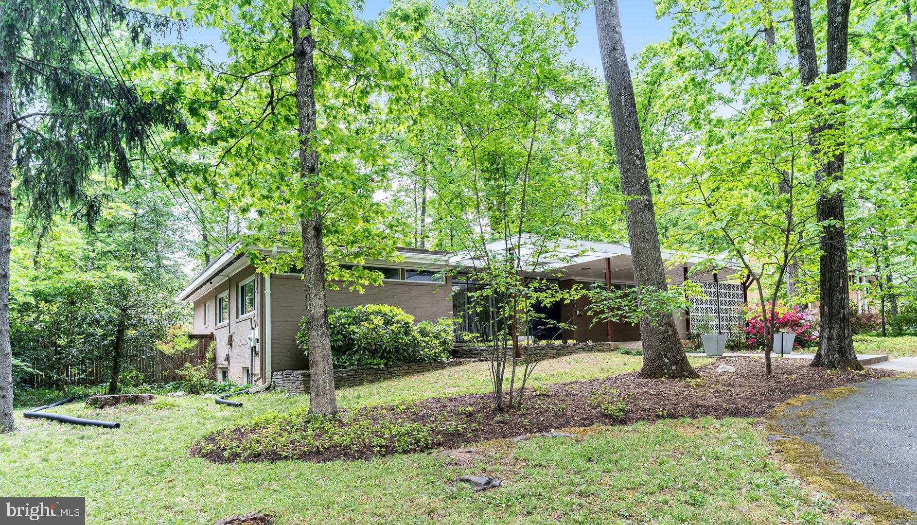 9203 Saint Marks Pl photo 4