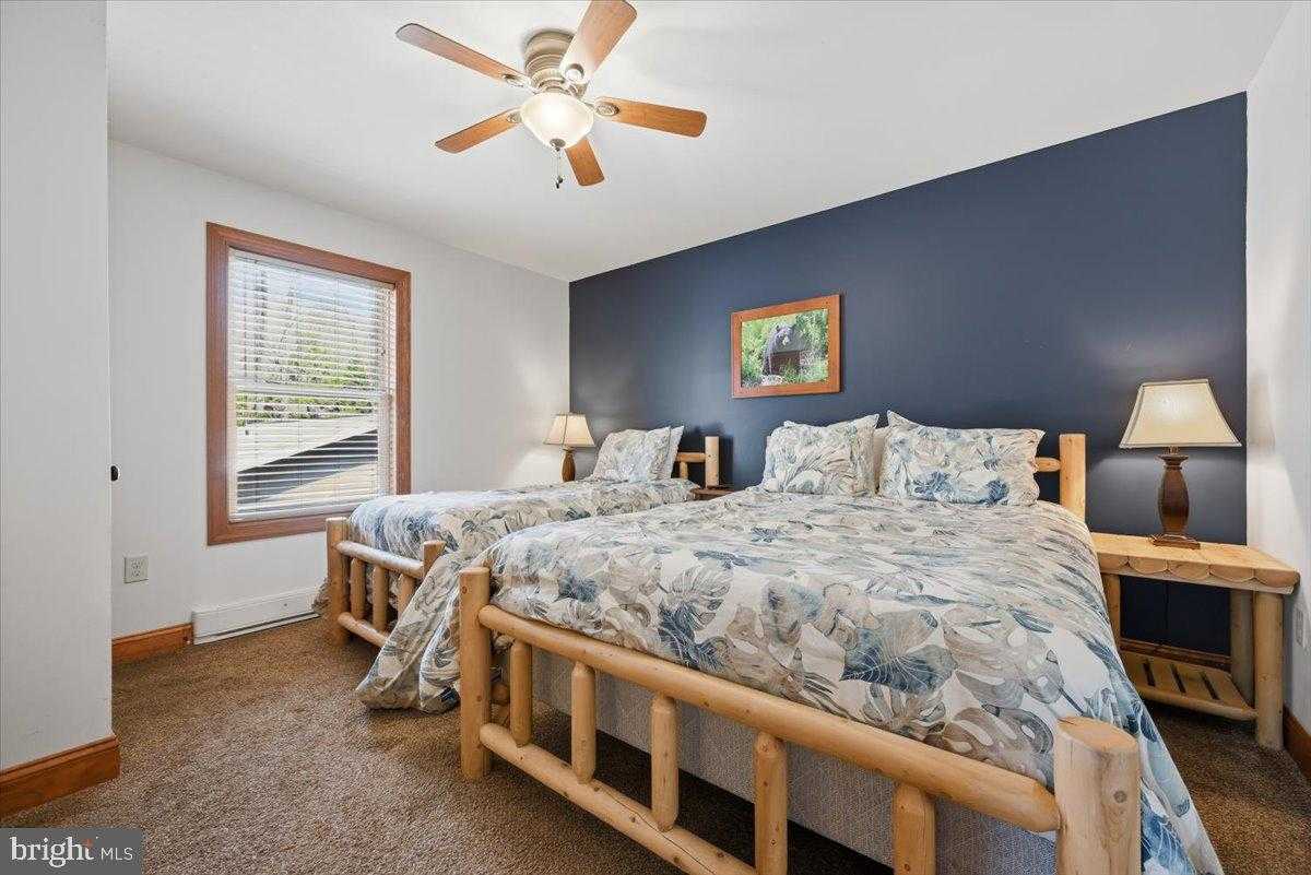 12 Lupine Dr photo 24