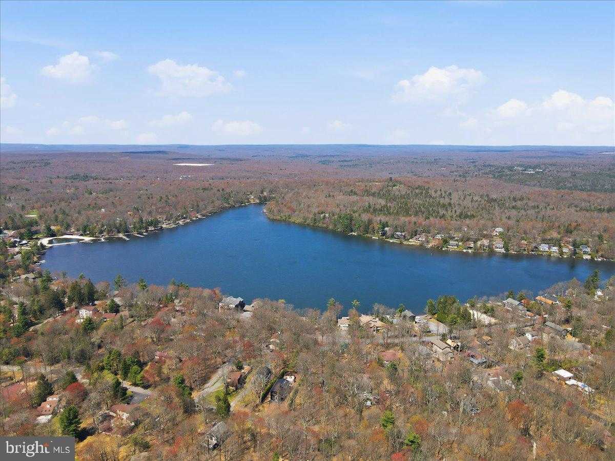 12 Lupine Dr photo 37