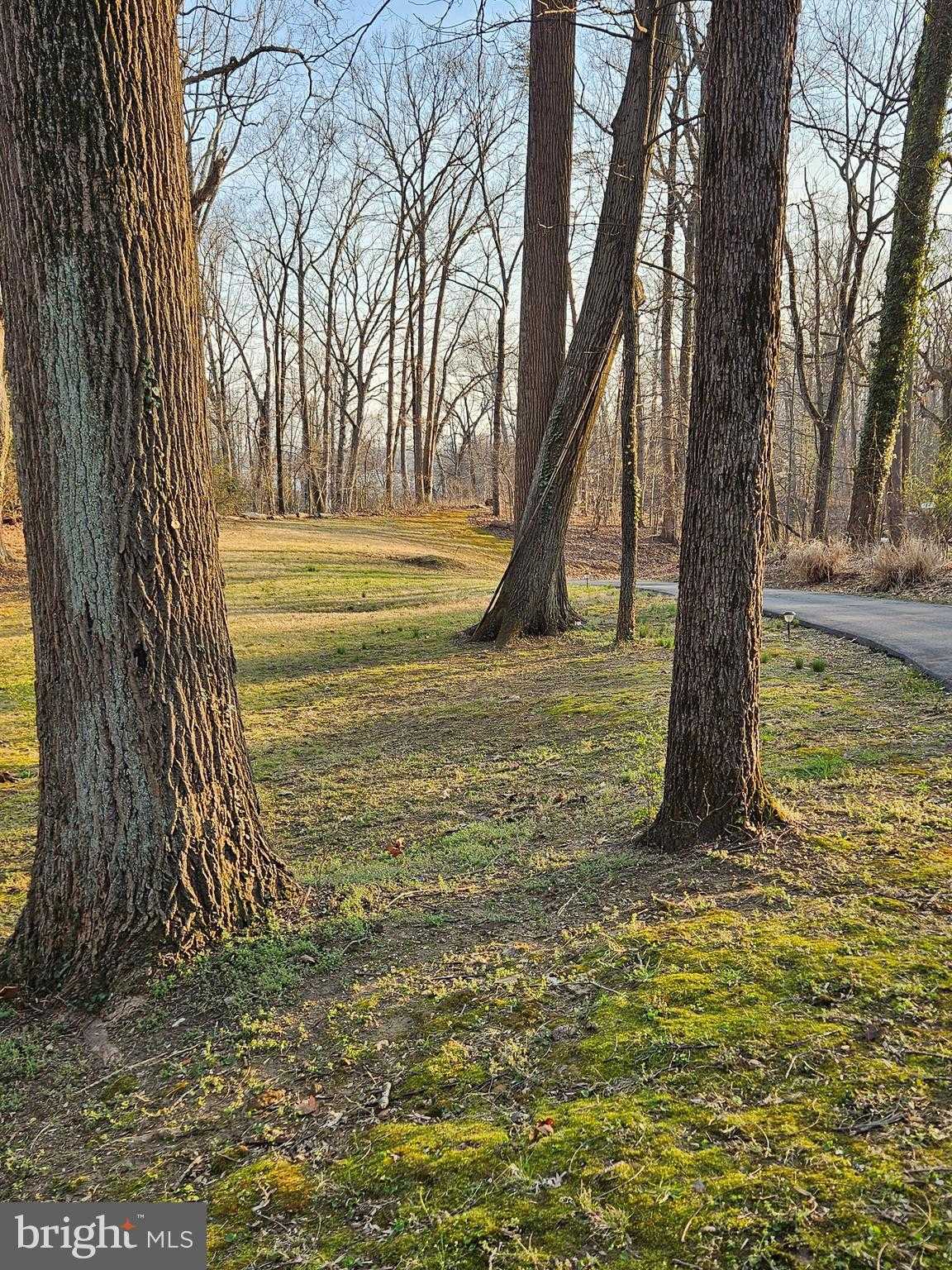 1711 Ritchie Hwy photo 11