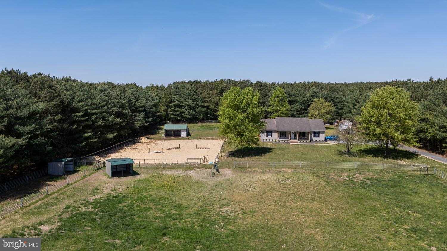 12104 Holly Rd photo 3