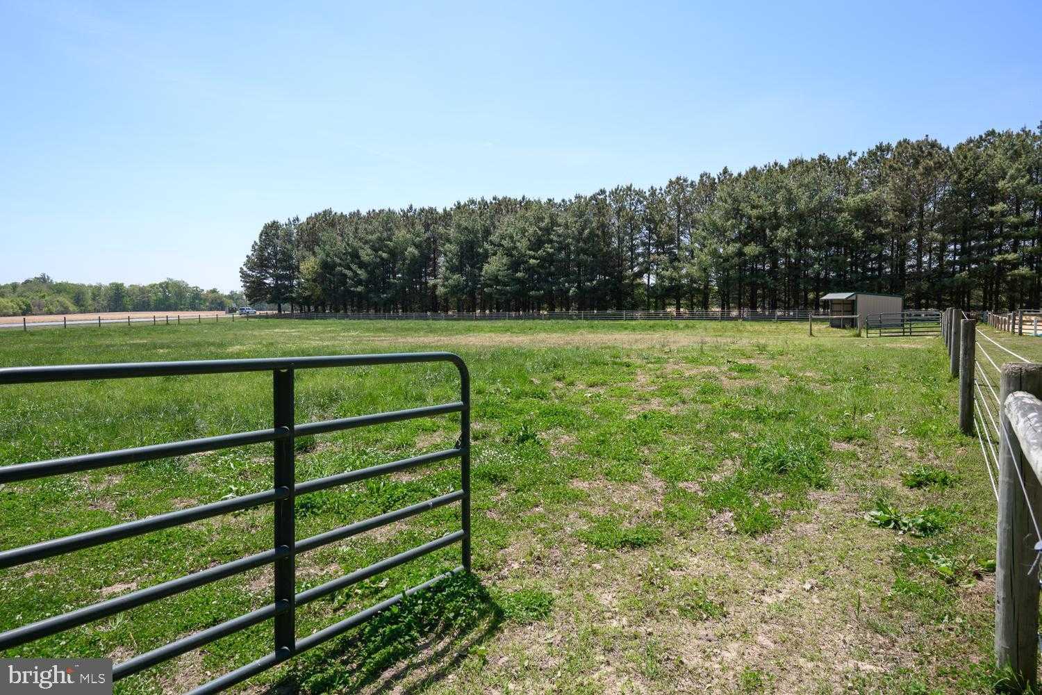 12104 Holly Rd photo 43