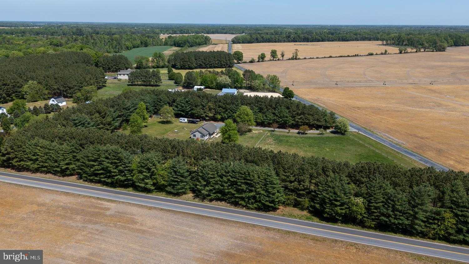 12104 Holly Rd photo 5