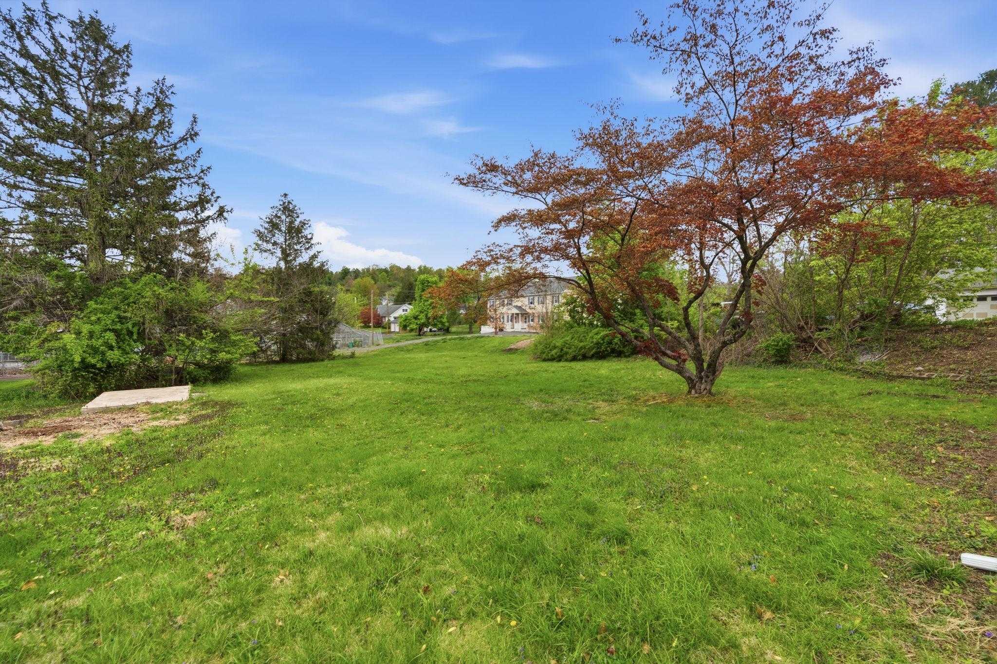 115 Green St photo 30