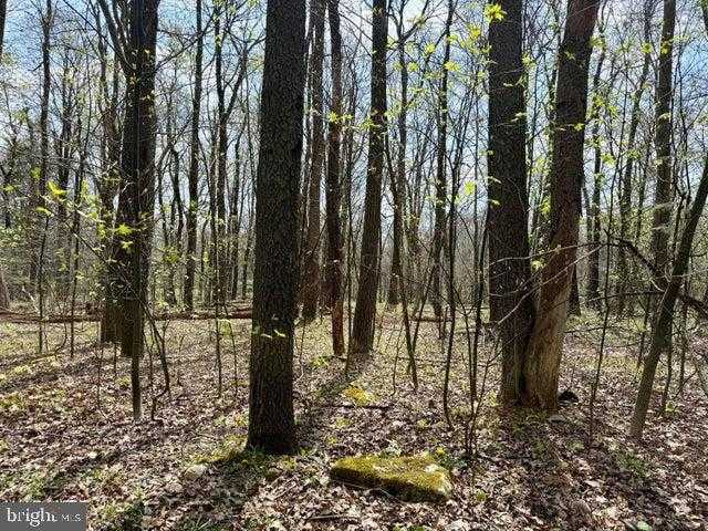 Timberman Rd photo 2