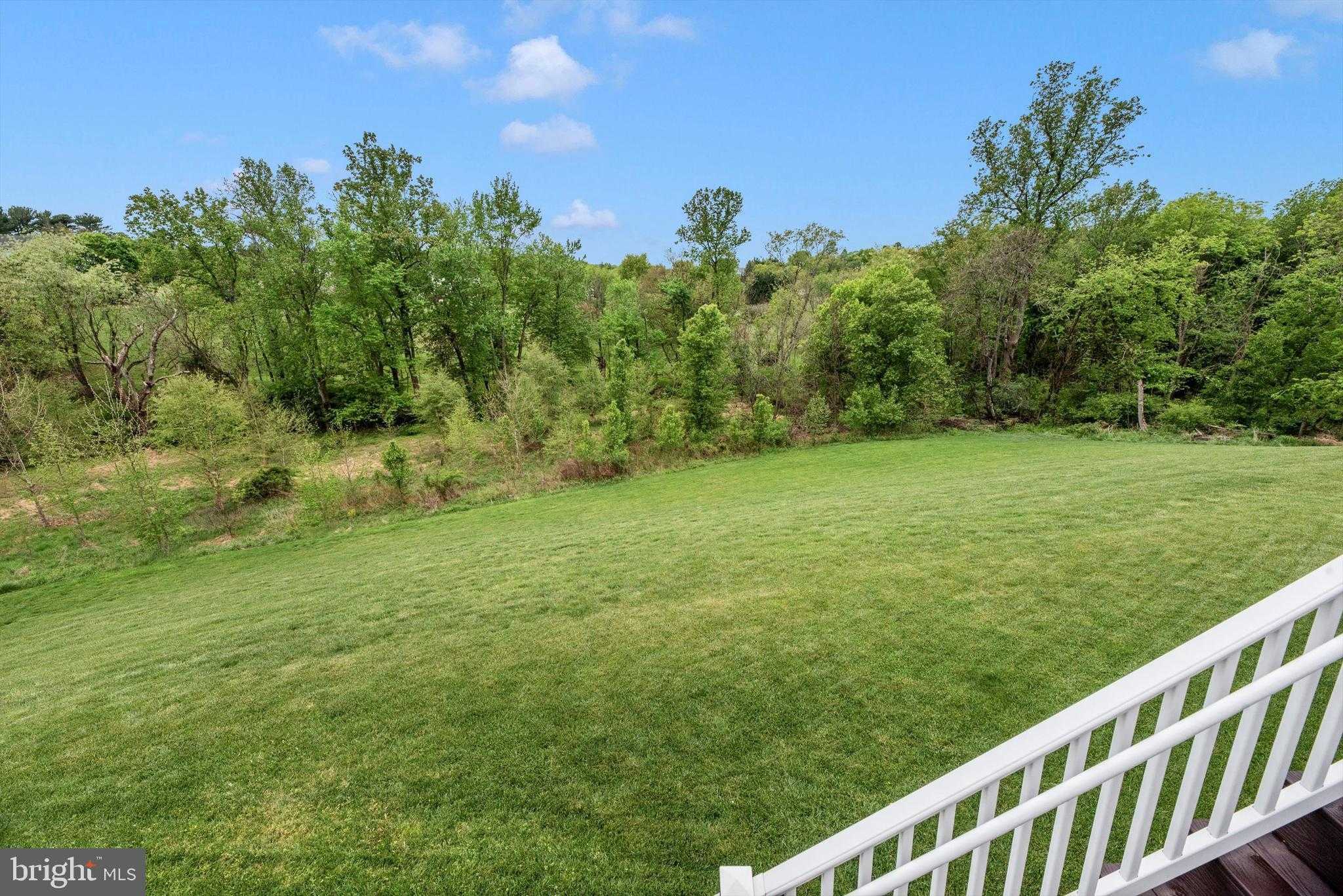10377 Springside Ter photo 45