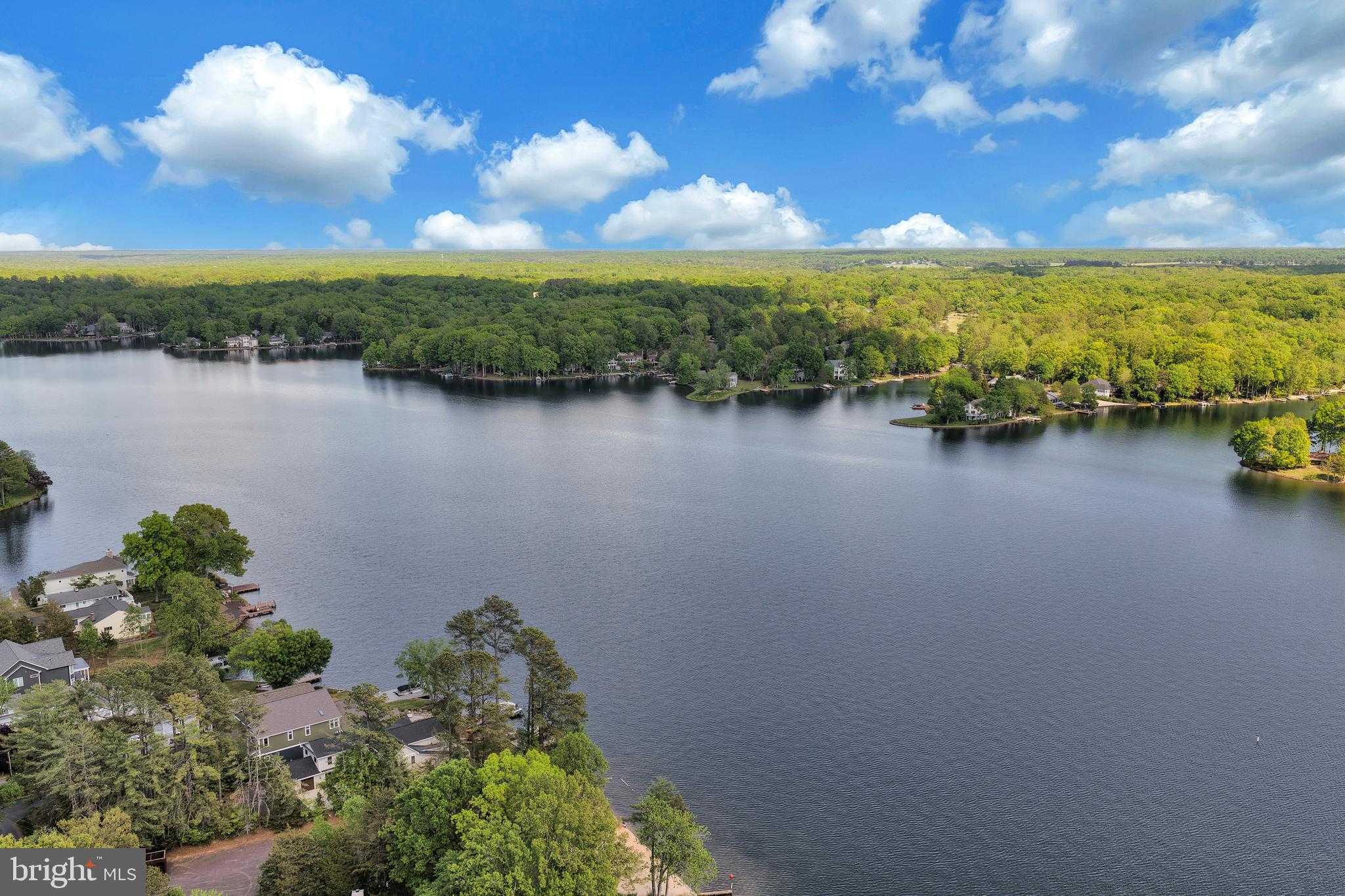 107 Plantation Dr photo 59