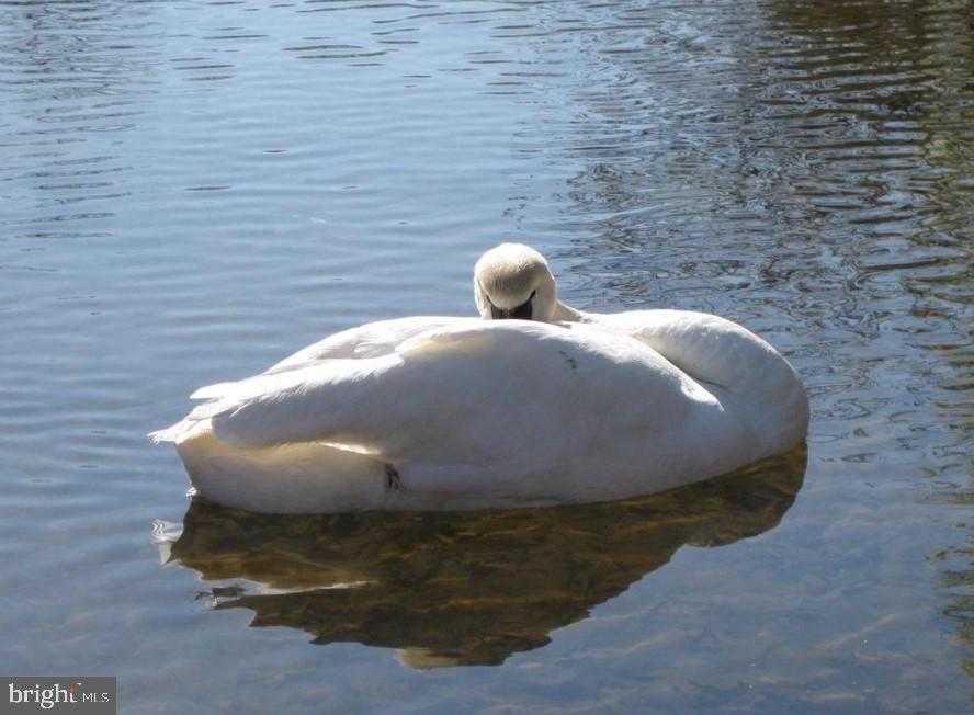 107 Plantation Dr photo 72