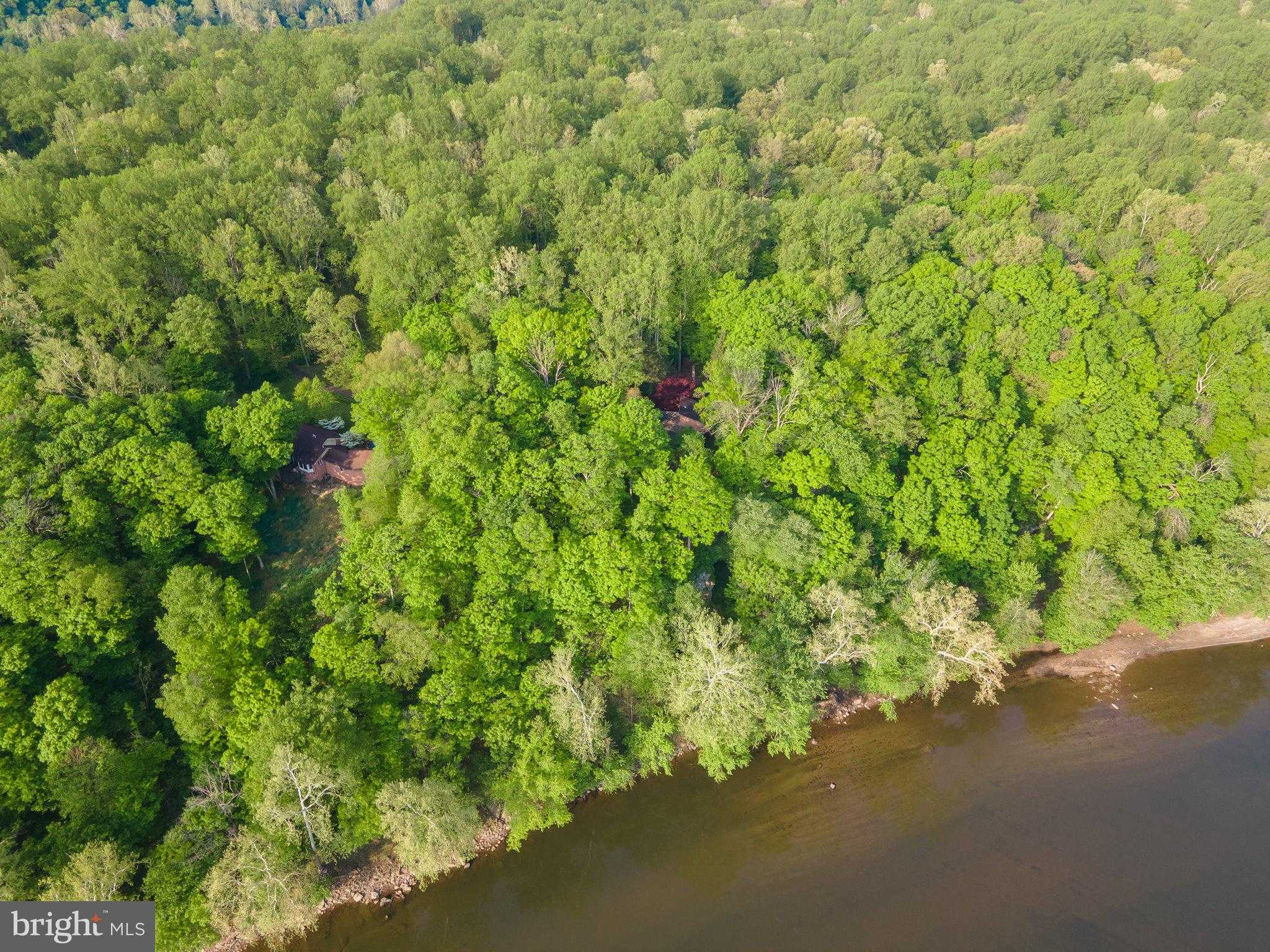 1223 Steamboat Run Rd photo 6