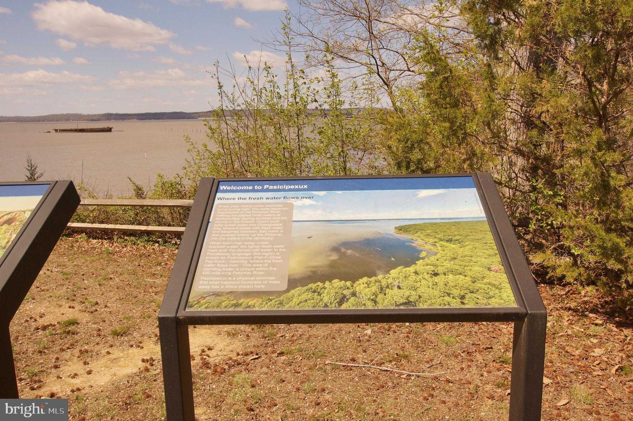 8965 Riverside Rd photo 31