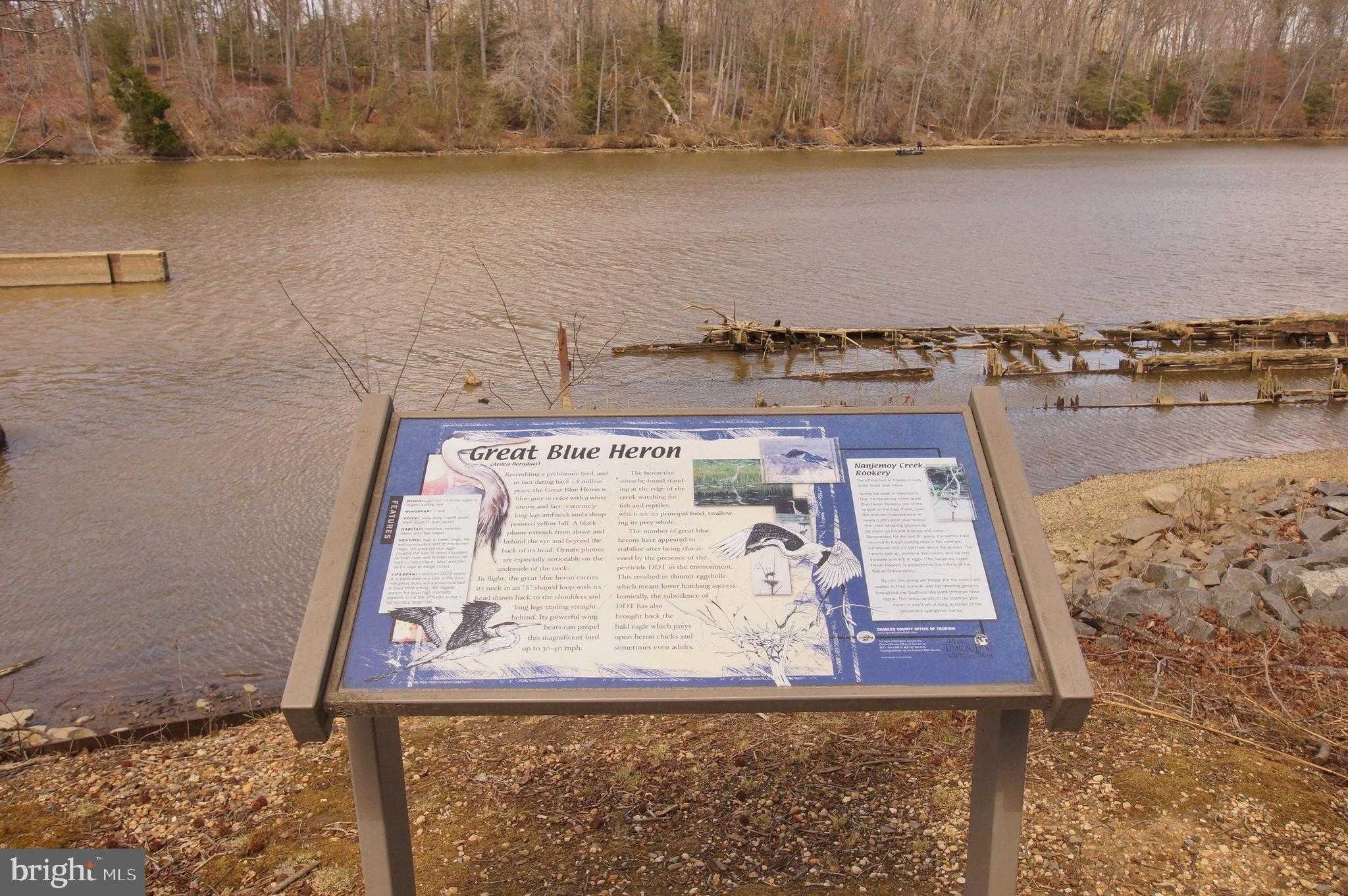 8965 Riverside Rd photo 34