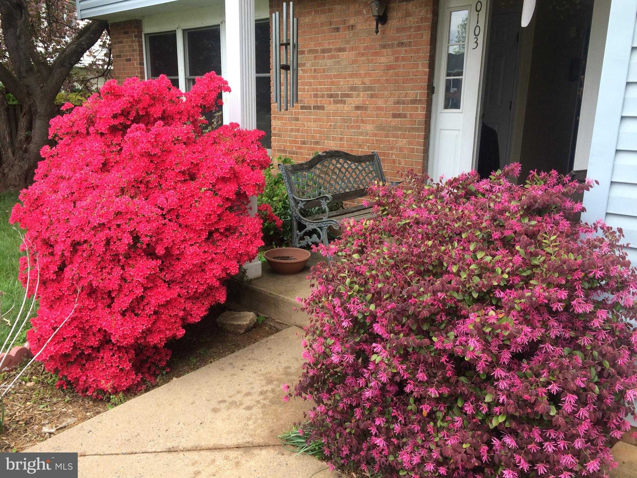 10103 Trinity Ln photo 4