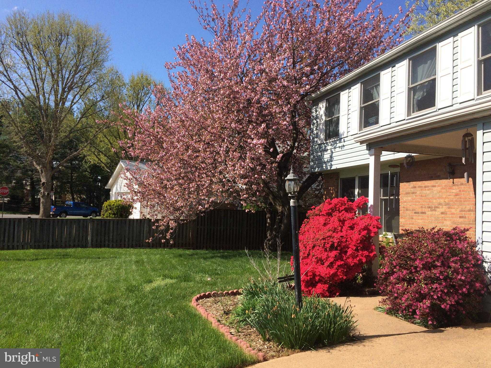 10103 Trinity Ln photo 5