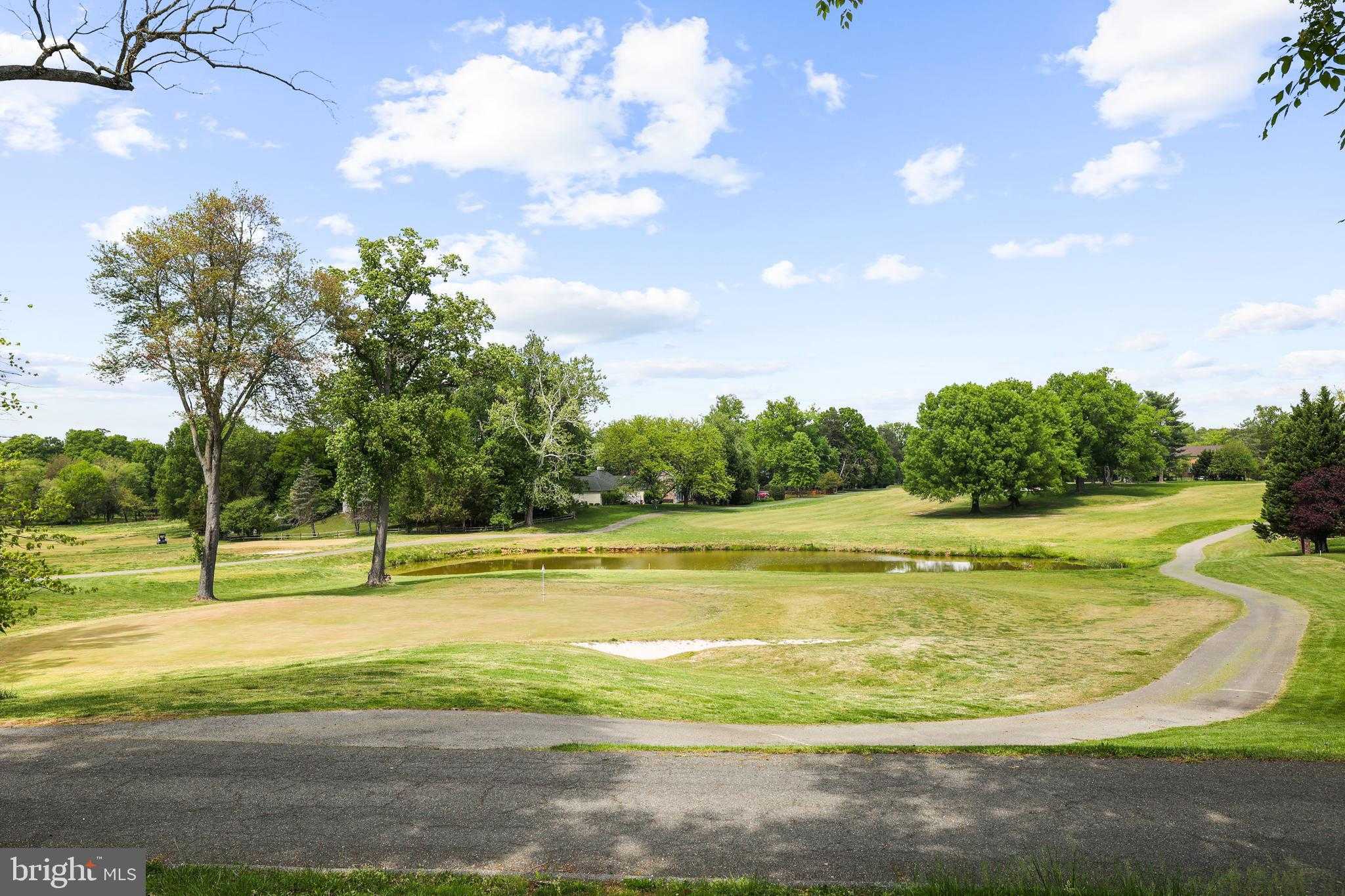 13218 Lenfant Dr photo 47