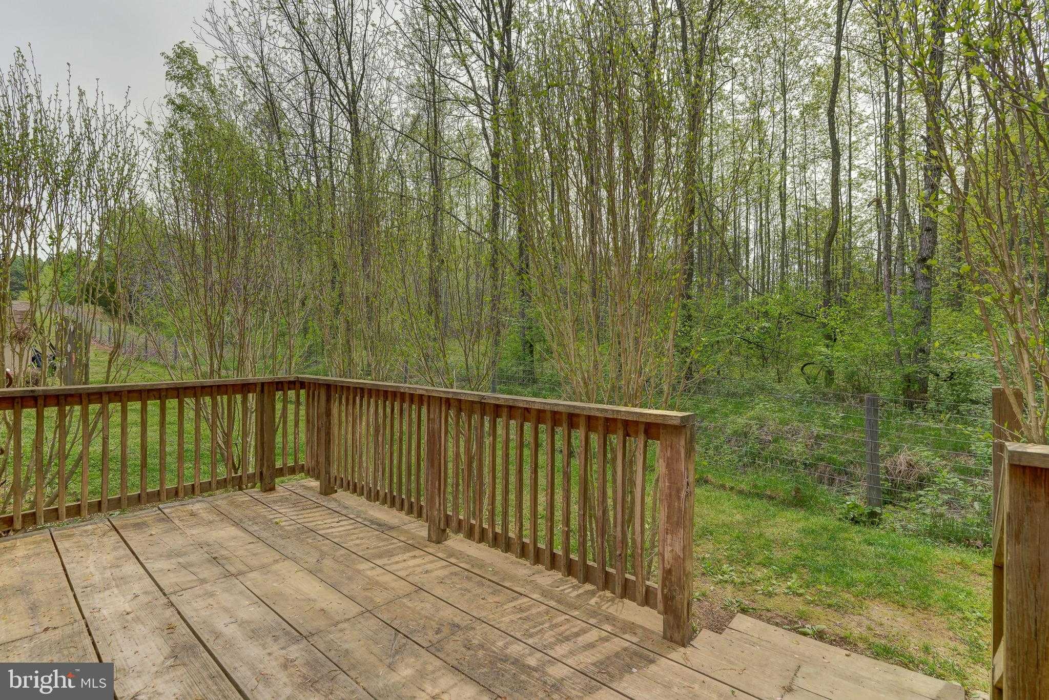 516 Apple Grove Rd photo 71