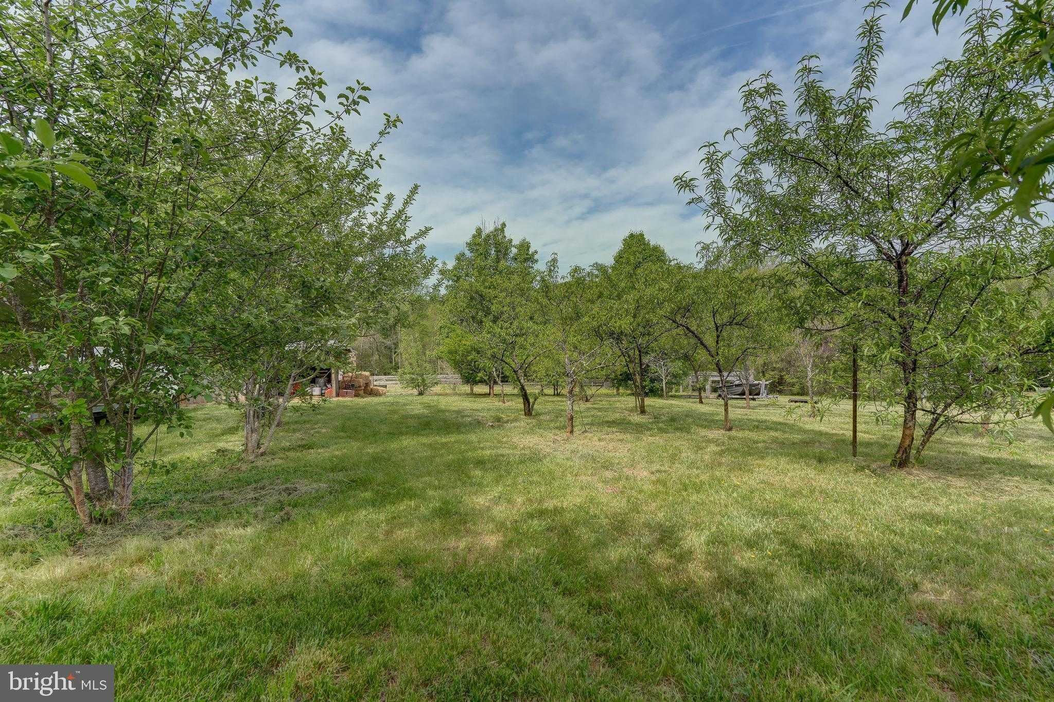 516 Apple Grove Rd photo 83