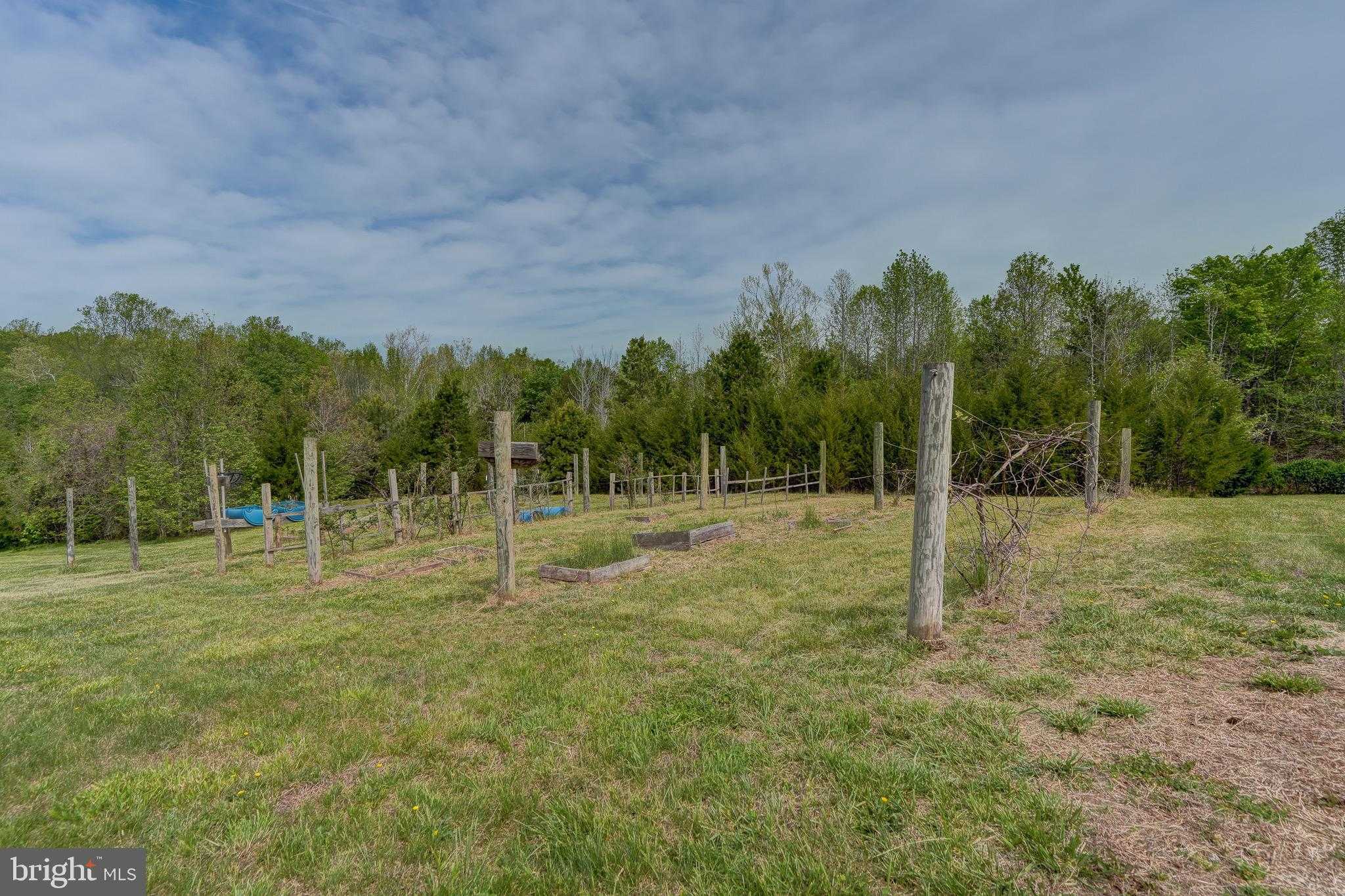 516 Apple Grove Rd photo 84