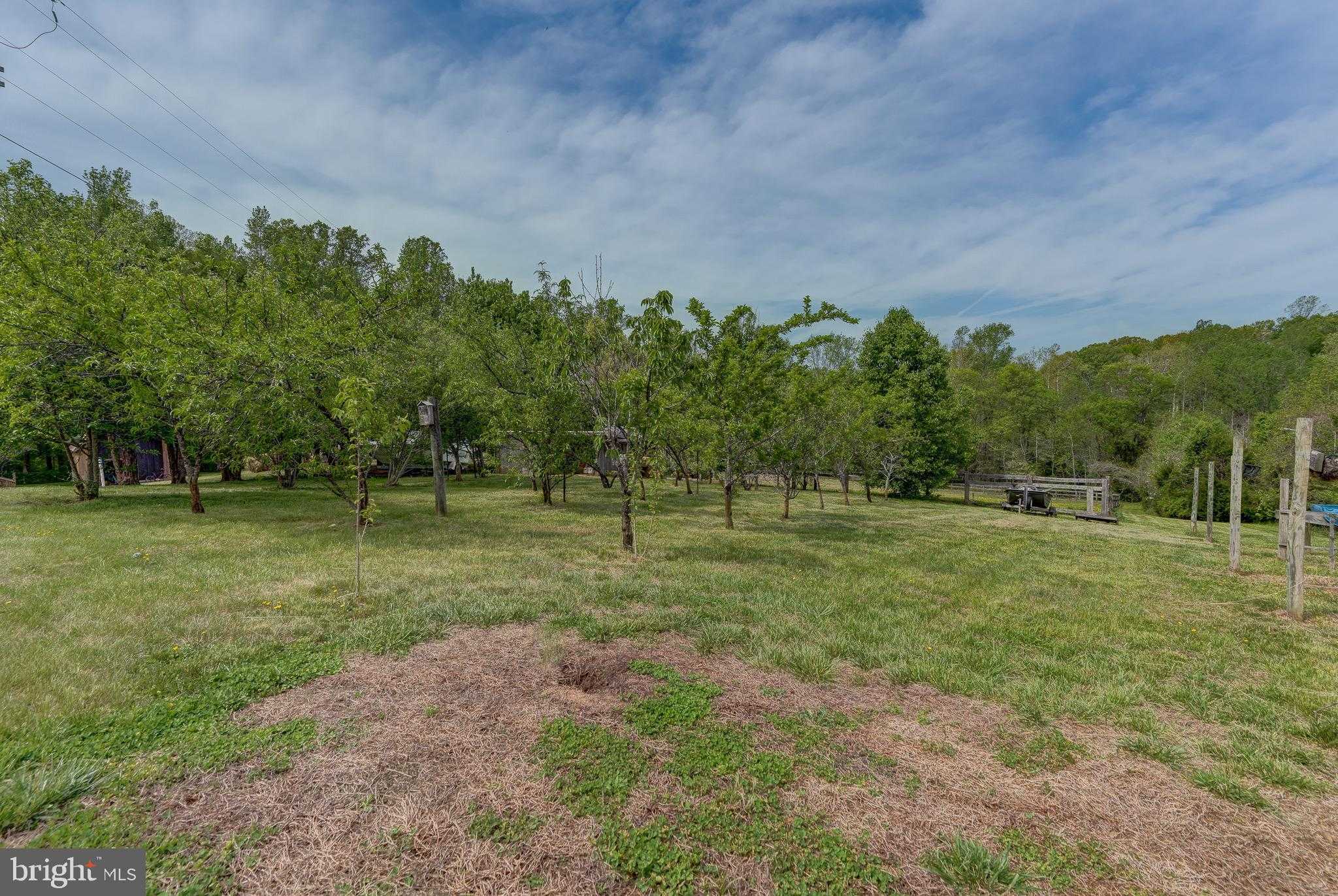 516 Apple Grove Rd photo 85