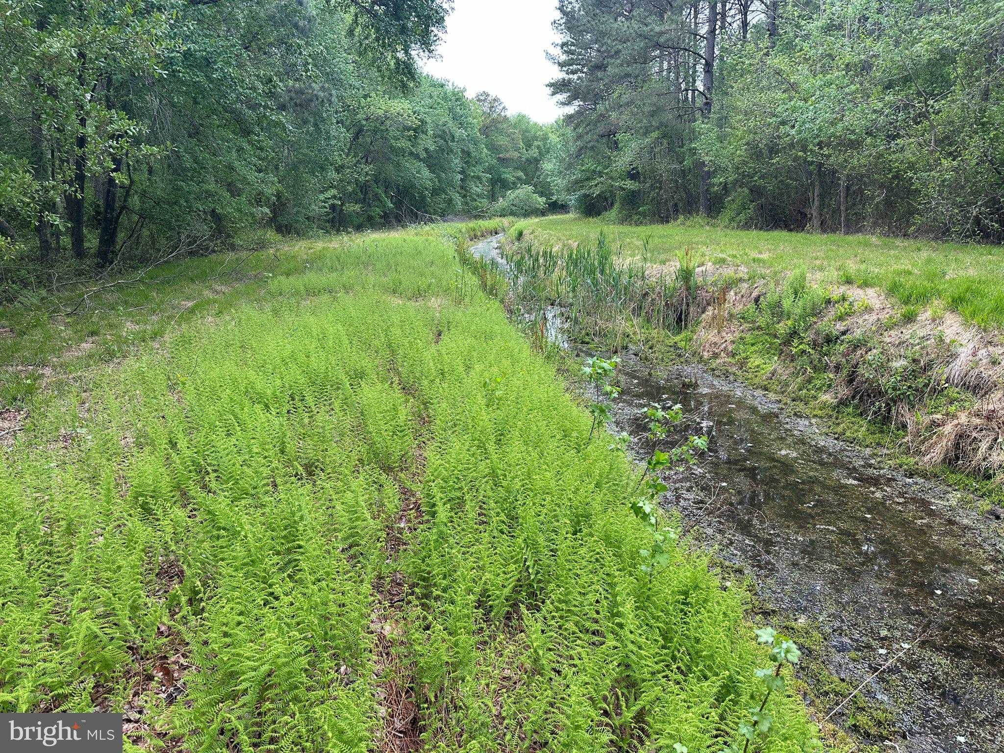 28403 Old Eden Rd photo 14