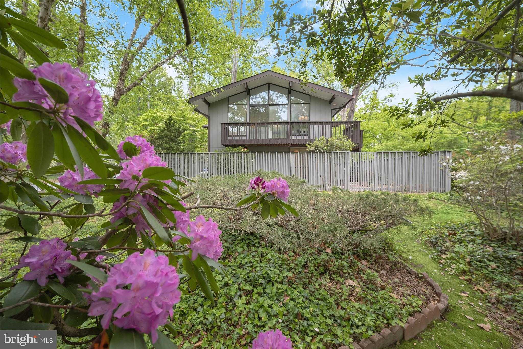 6544 Wiscasset Rd, Bethesda