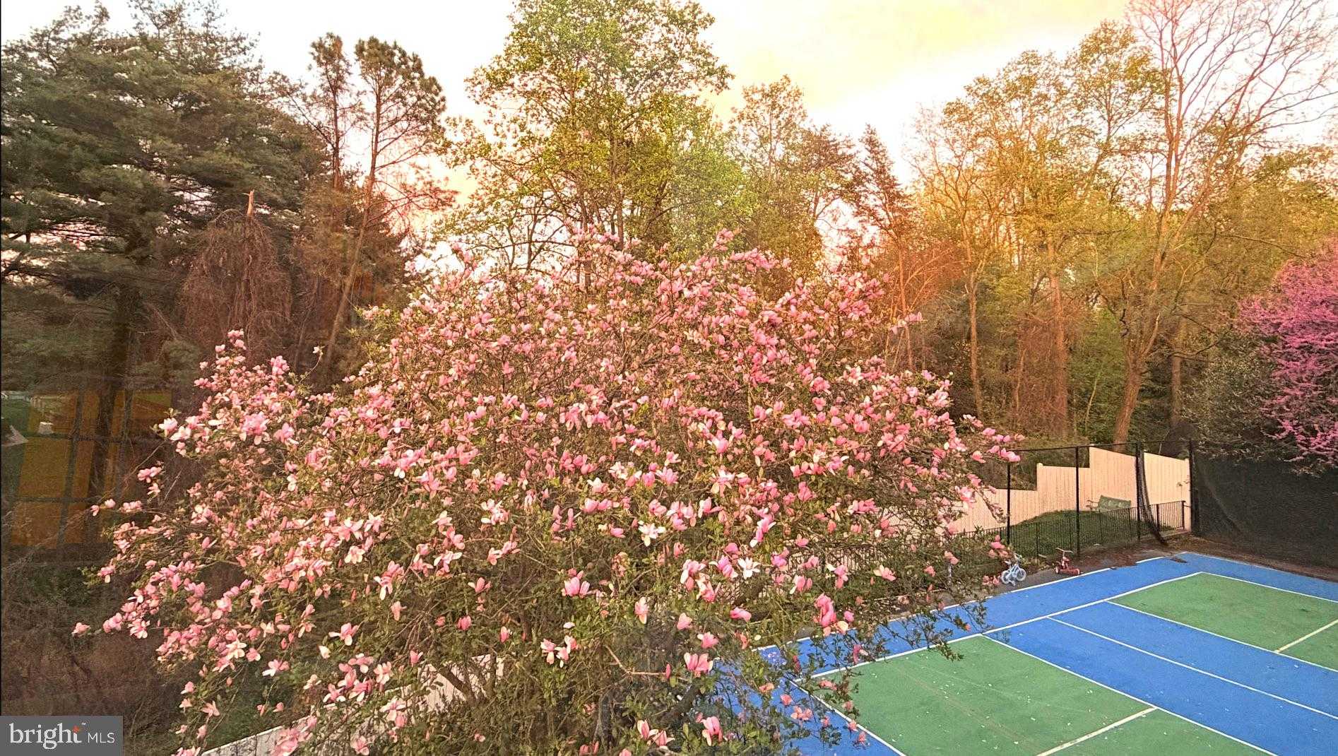 1289 Ballantrae Farm Dr photo 51