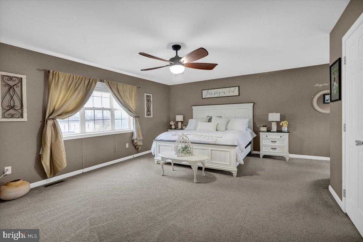 221 Oval Dr photo 21