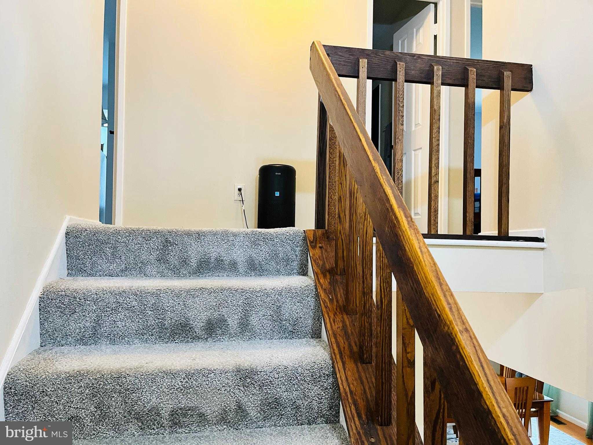 9562 Fern Hollow Way photo 11