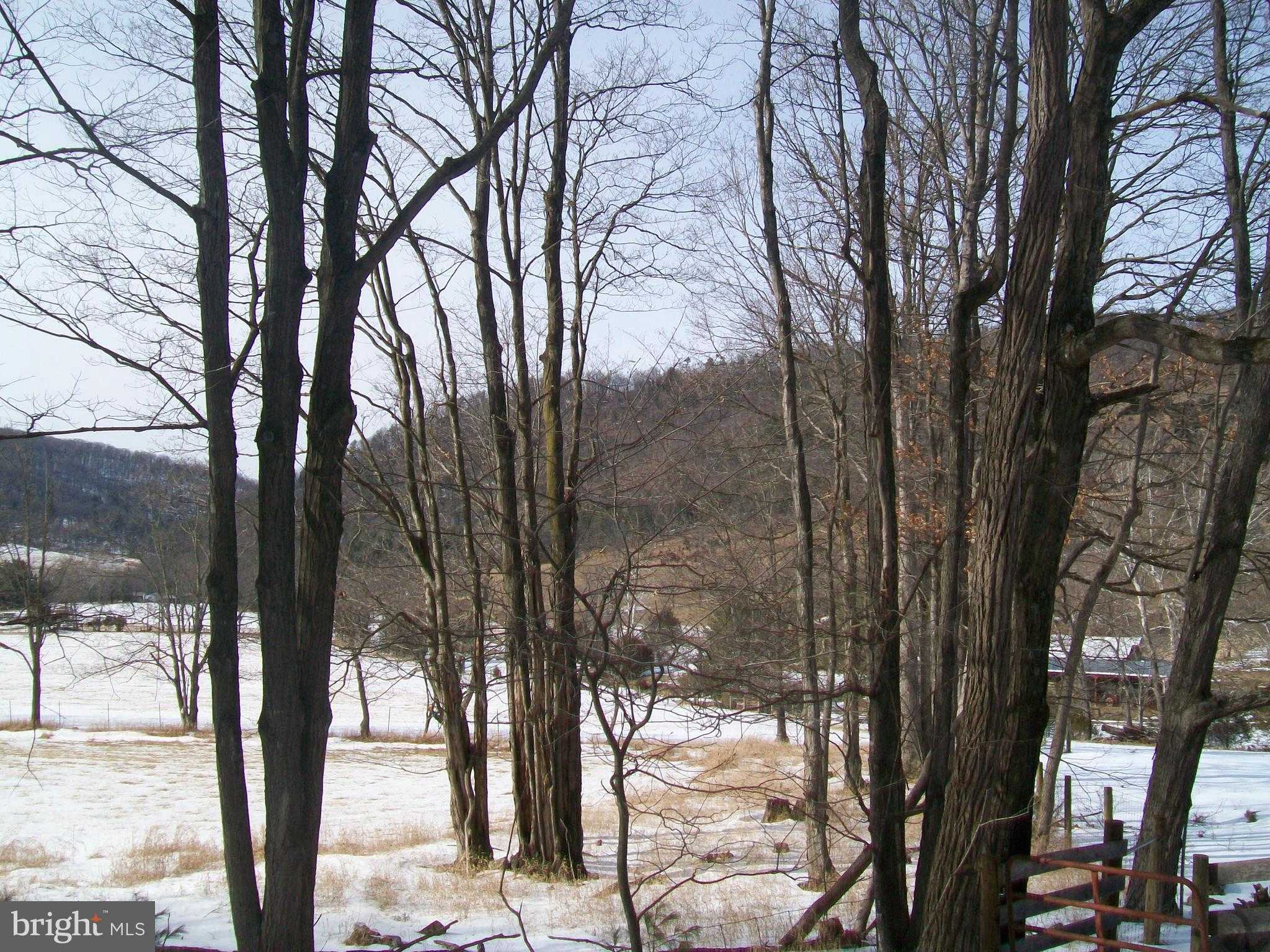 5621 Kiser Gap Rd photo 51