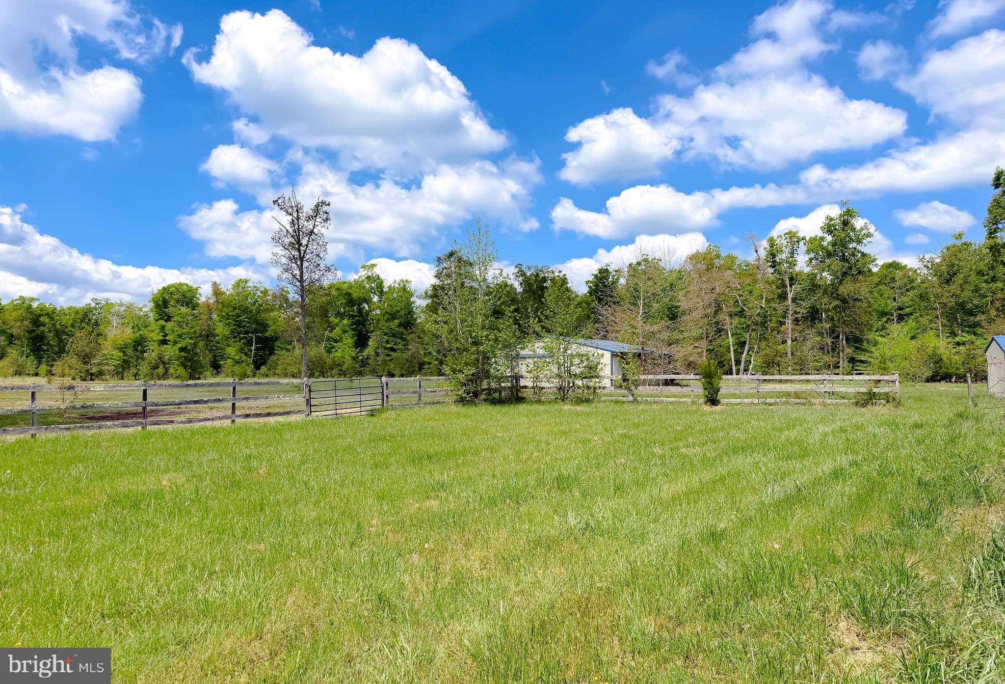 7779 Bumpy Oak Rd photo 69