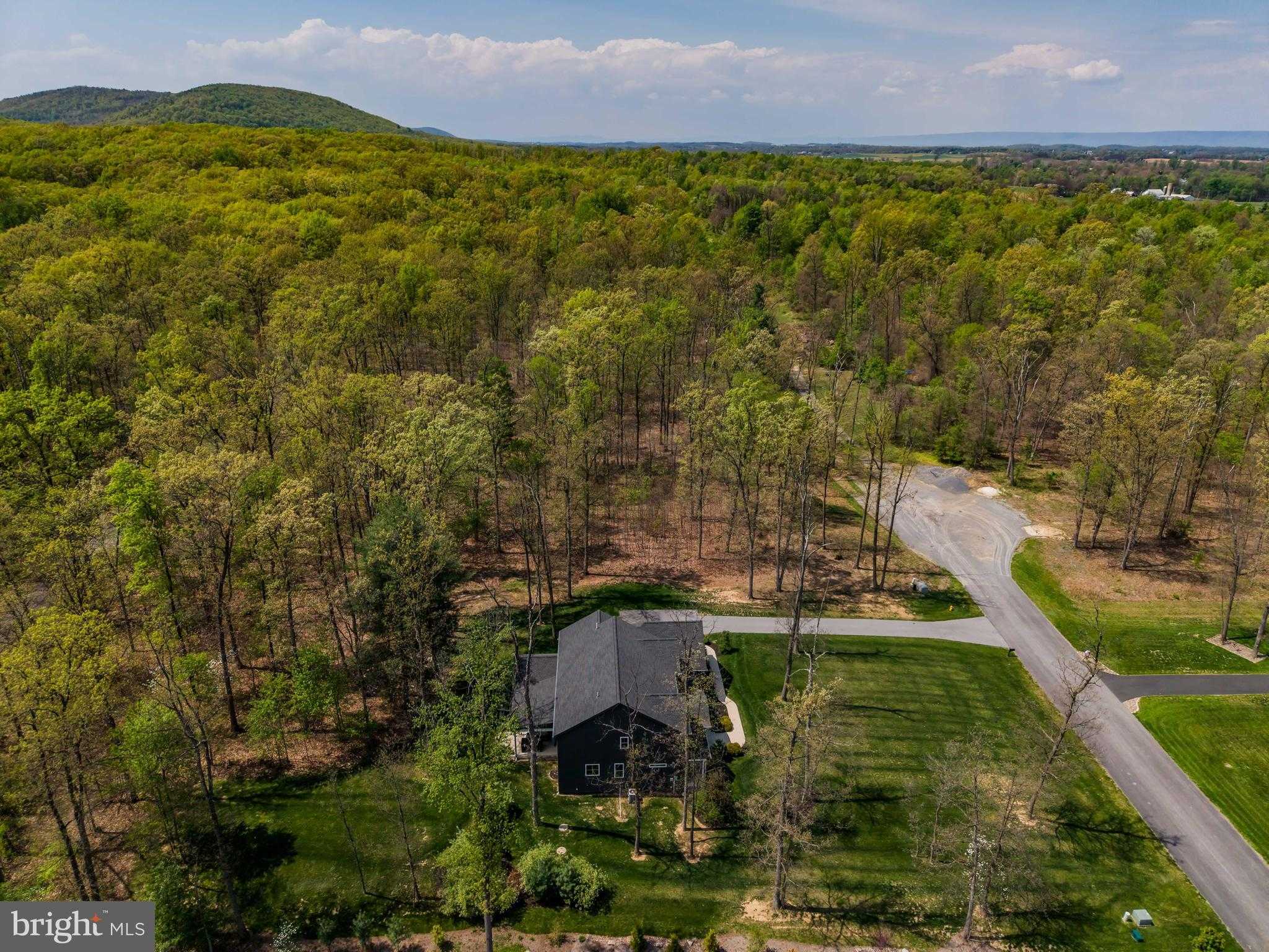 20 Barnitz Woods Dr photo 76