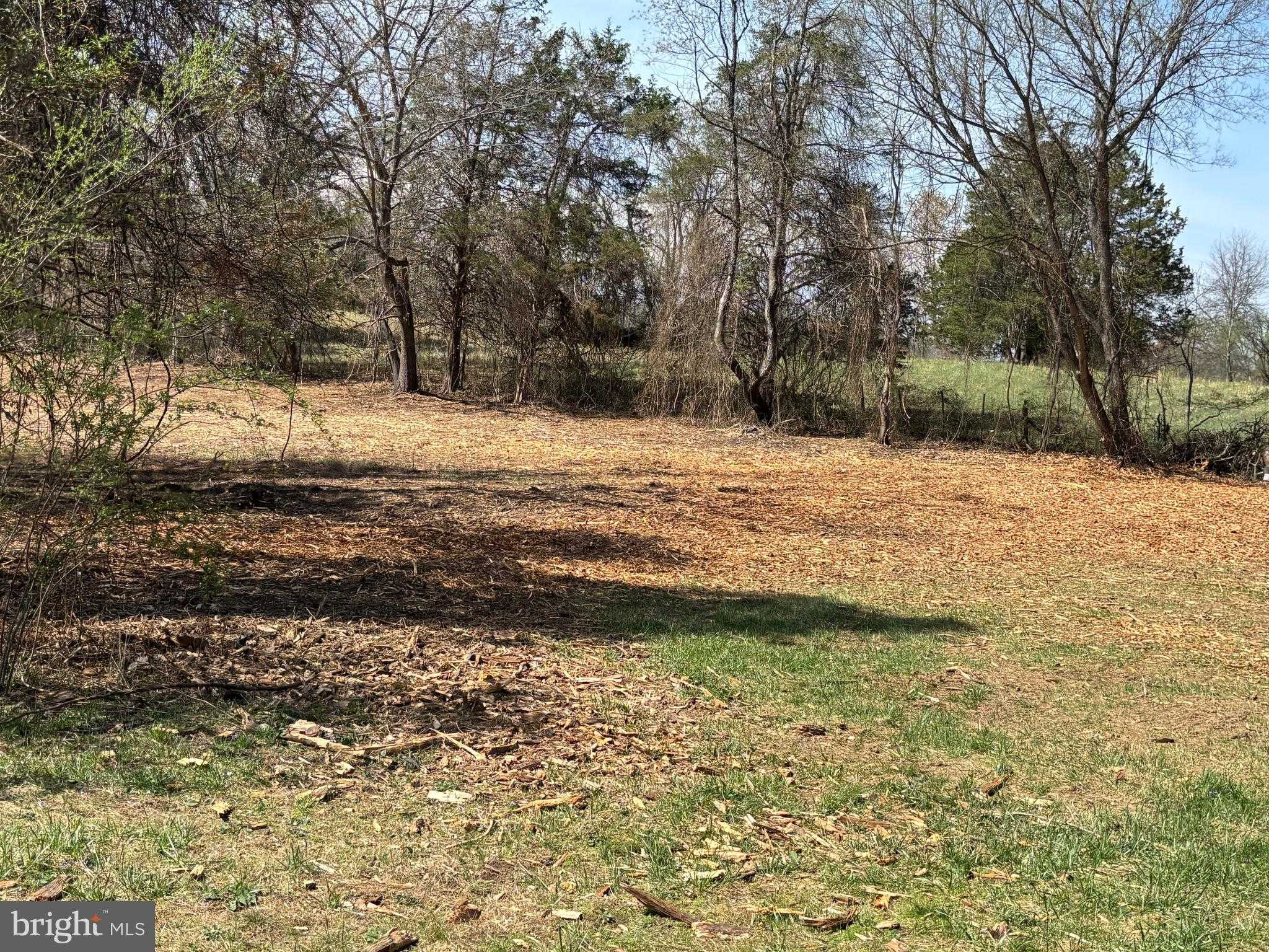 2502 Holly Springs Rd photo 2