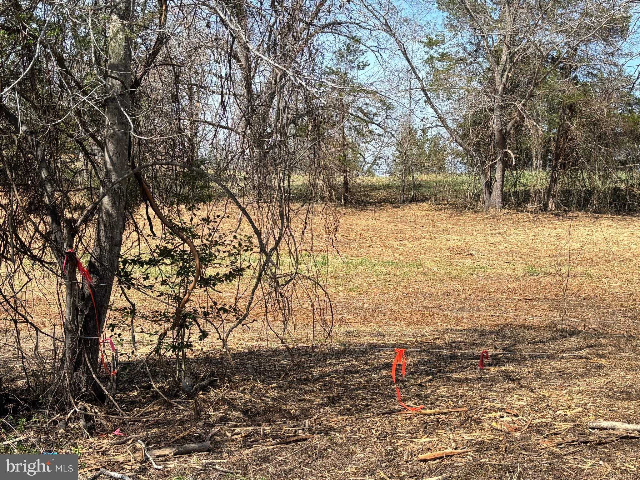 2502 Holly Springs Rd photo 3