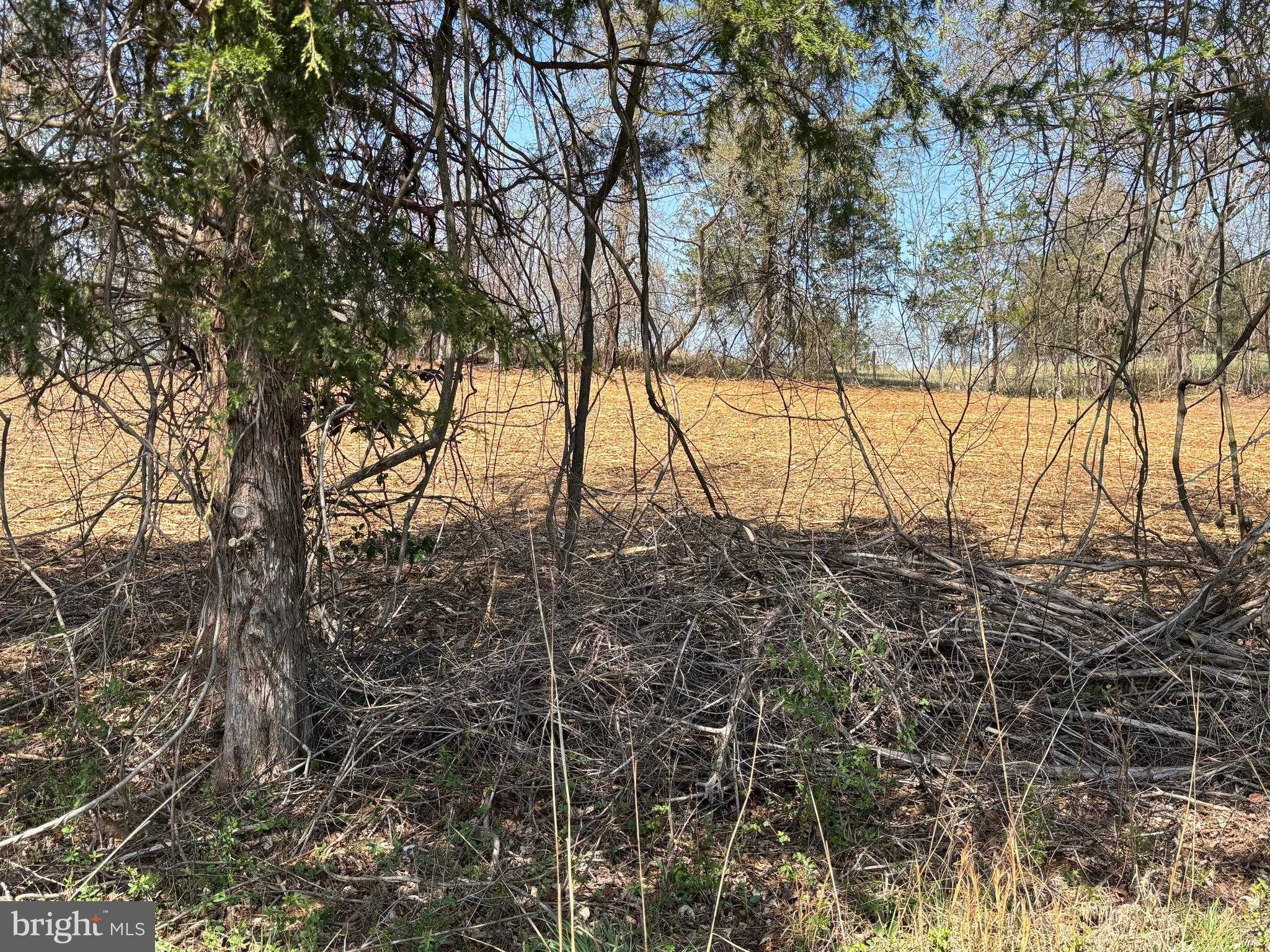 2502 Holly Springs Rd photo 4