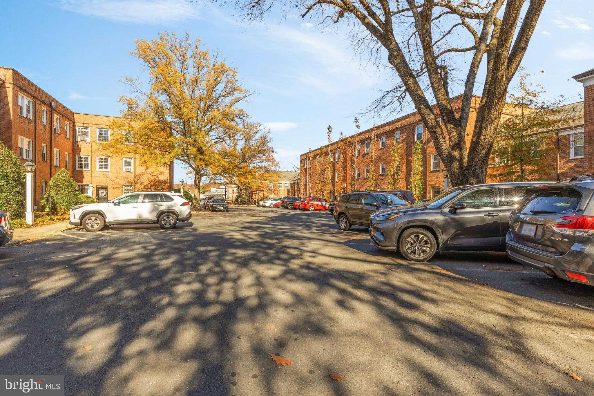 5010 Columbia Pike Apt 6 photo 14