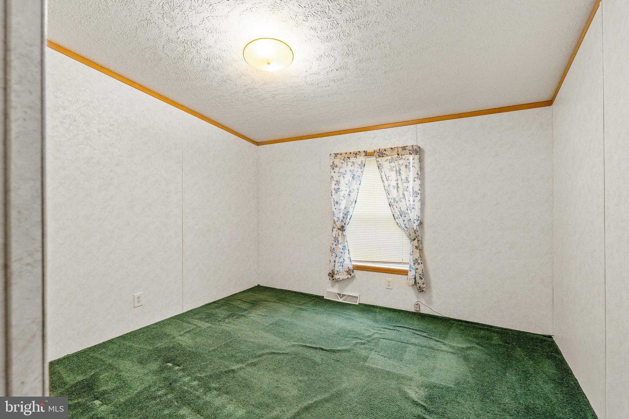 2 Grace Ann Dr photo 18