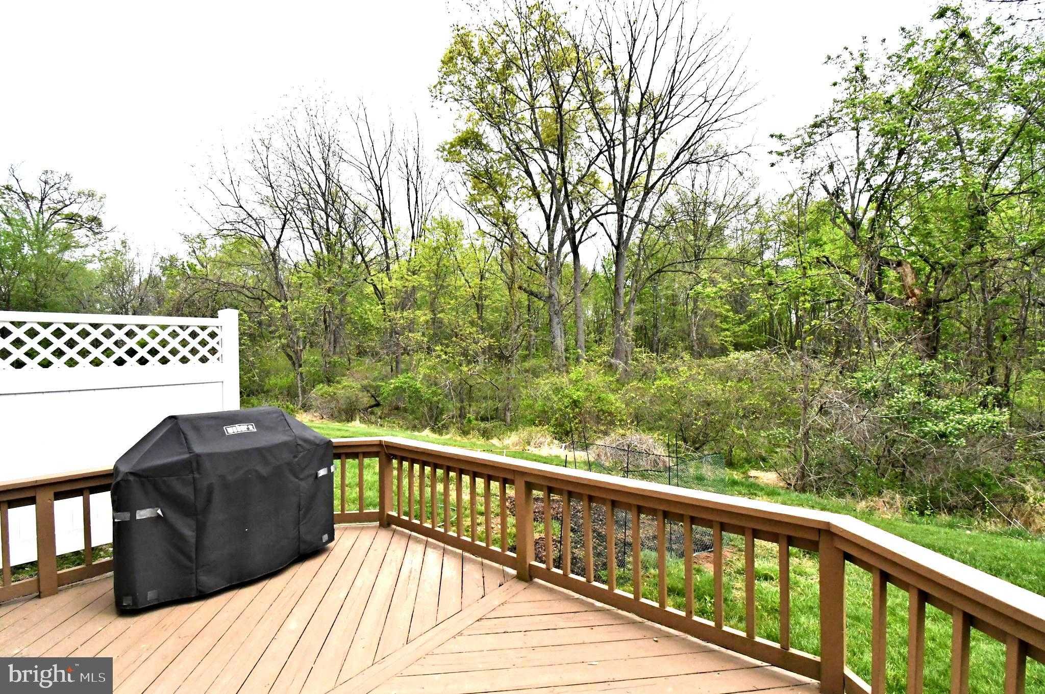 104 Aqueduct Dr photo 38