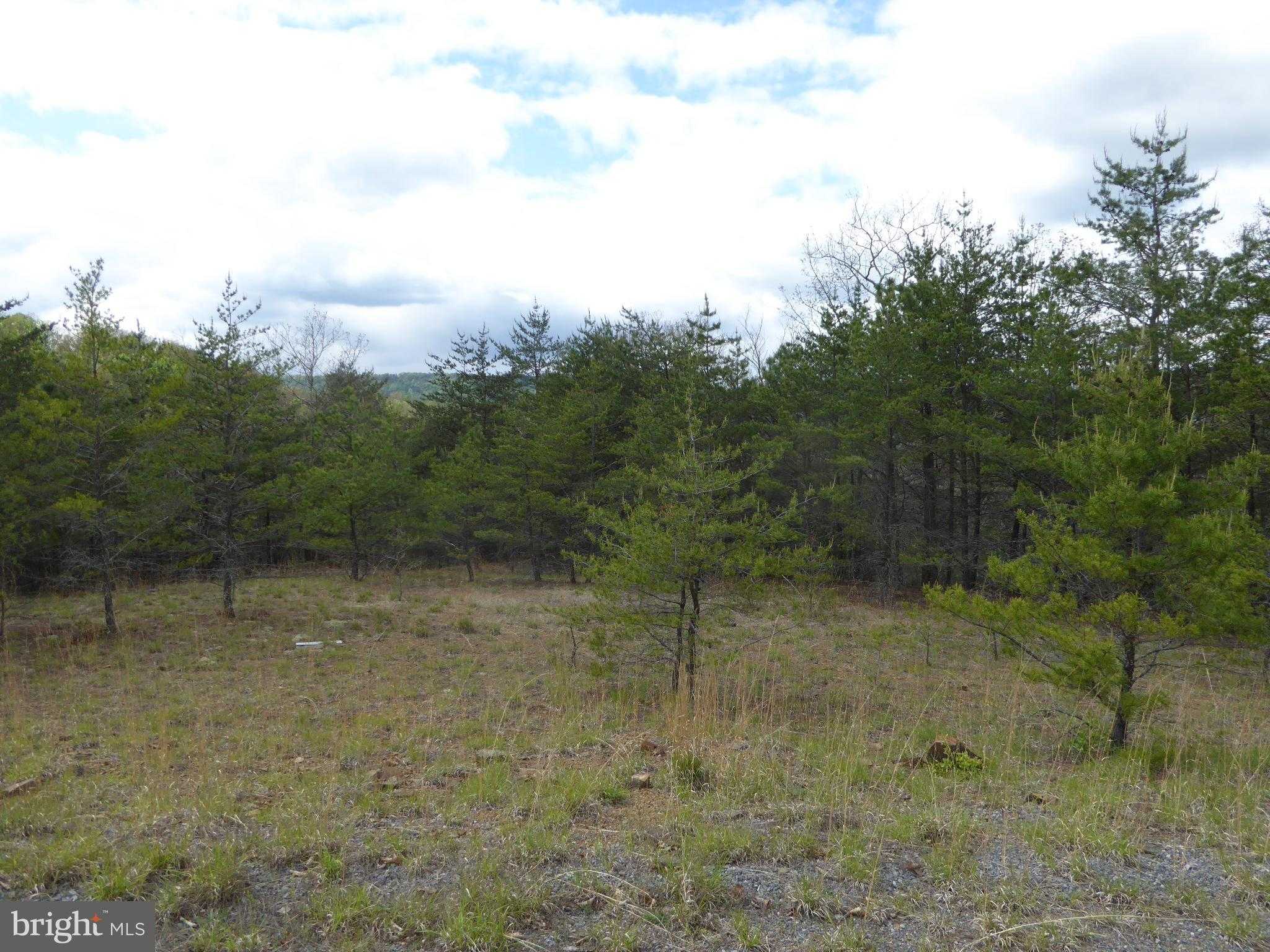 Red Feather Ln photo 15