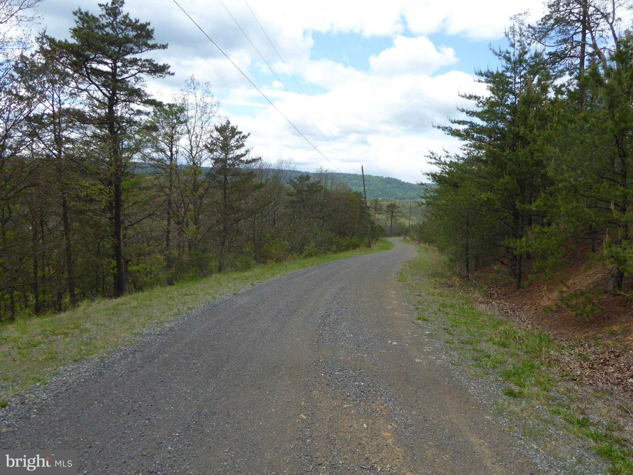 Red Feather Ln photo 8