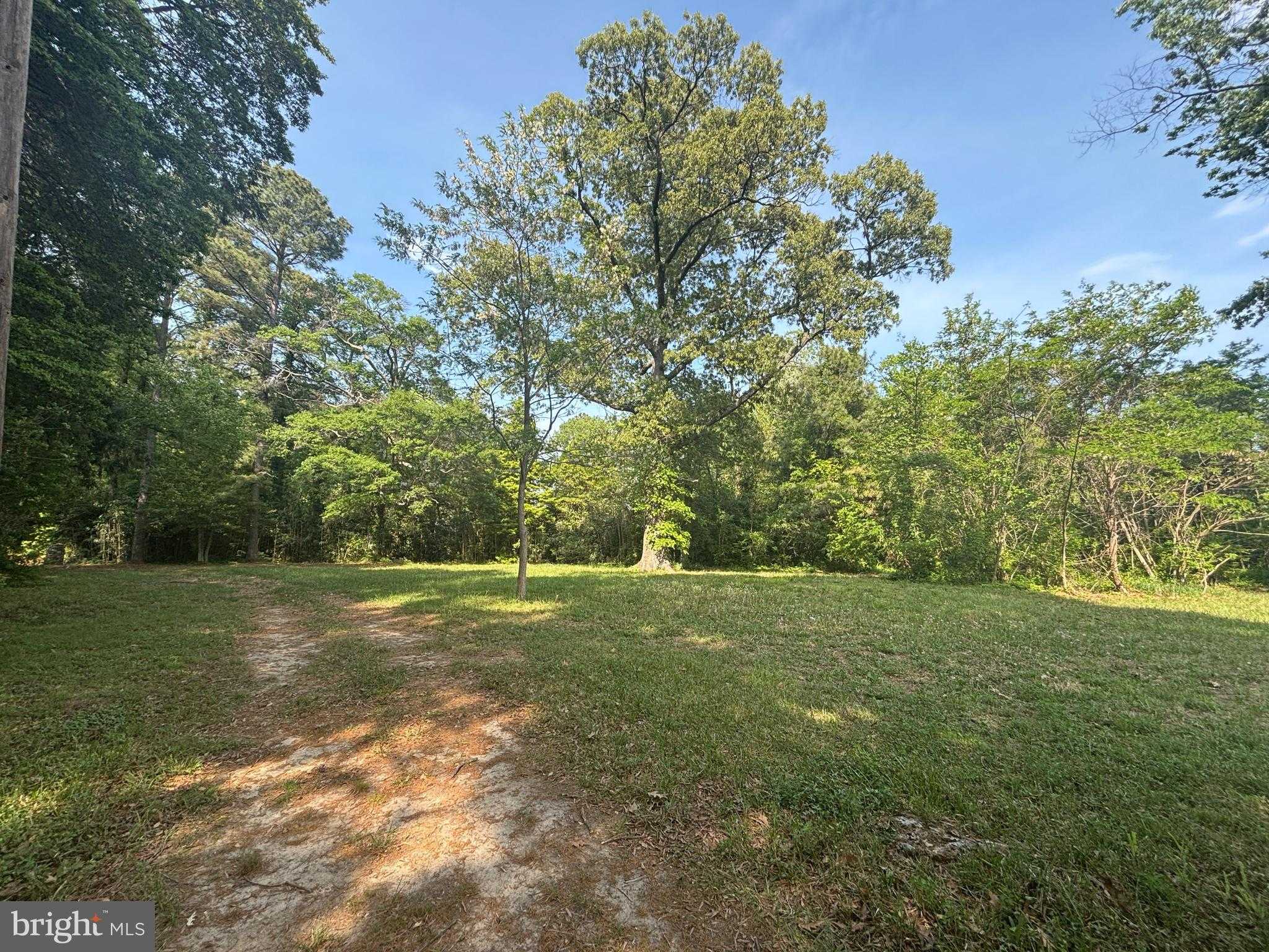 15567 Potomac River Dr photo 2
