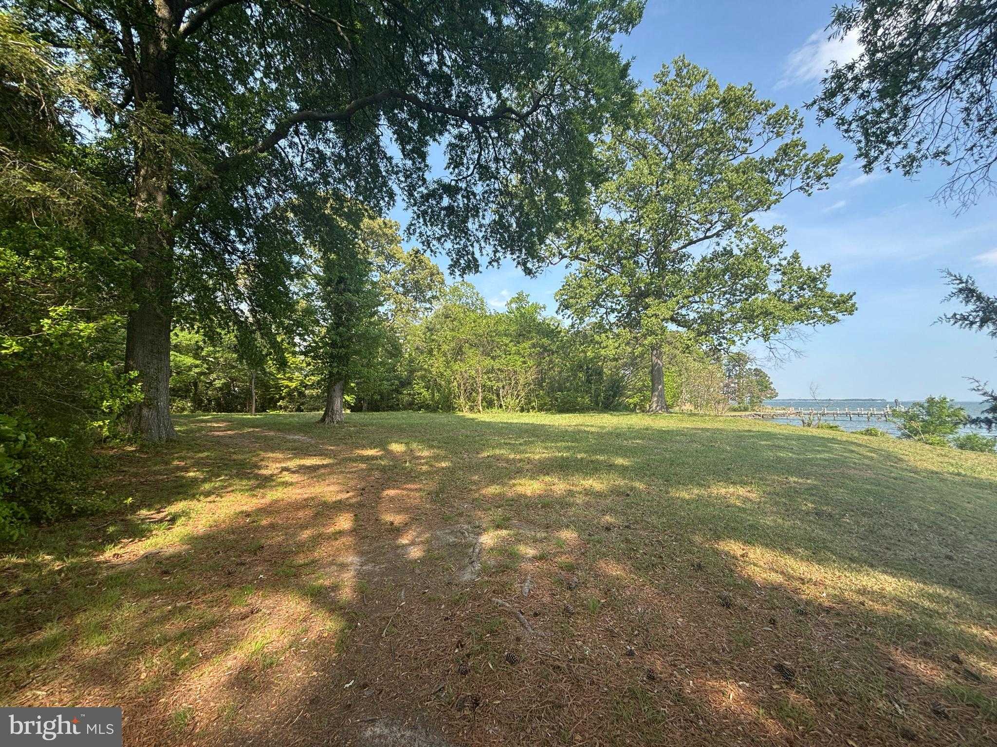 15567 Potomac River Dr photo 3