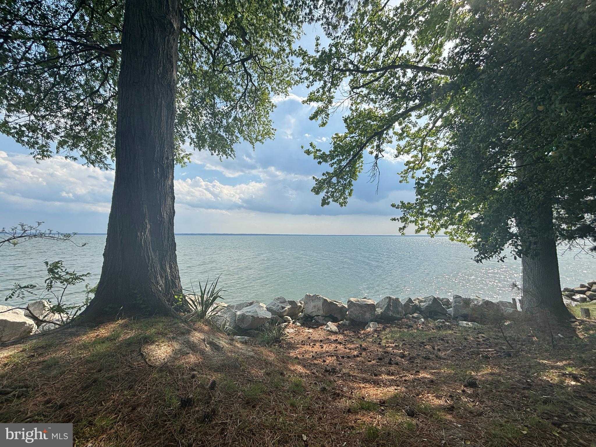 15567 Potomac River Dr photo 4